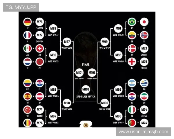 2026年世界杯决赛场地的容量规模及其对比赛氛围的影响研究