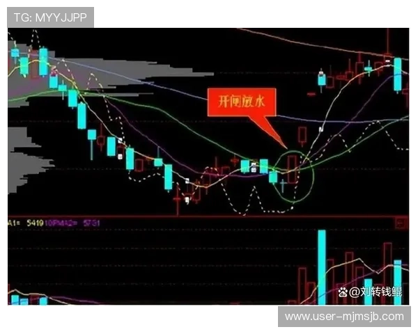 让球站：让球站在足球博彩中的应用技巧，帮助用户实现稳健盈利的实用经验