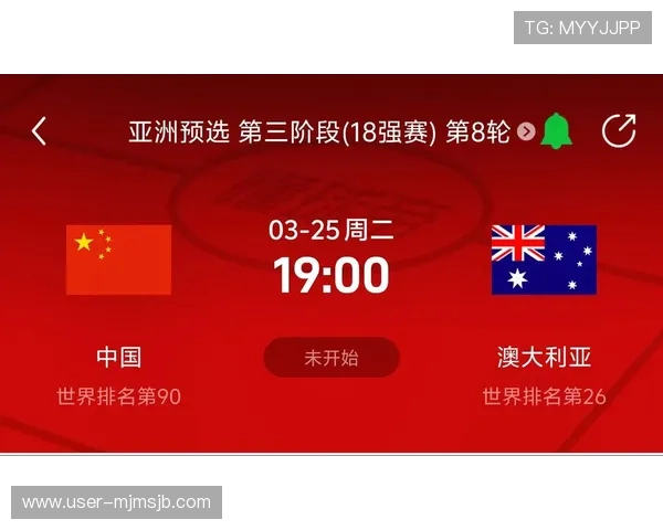 详细解读世界杯预选赛积分榜变化，帮助球迷分析各队晋级前景